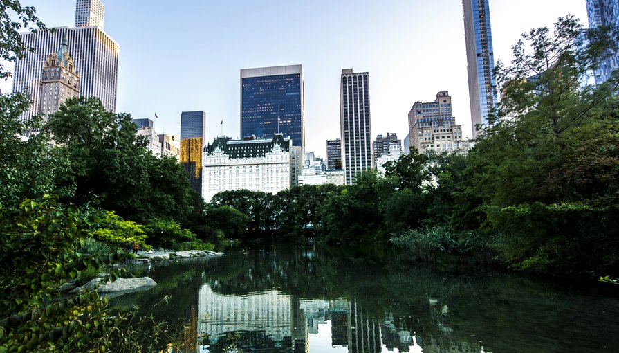 Fenóis e Bisfenol A (BPA) no GAC: Riscos, Regulamentação e a Expertise da A2J Consultoria Ambiental