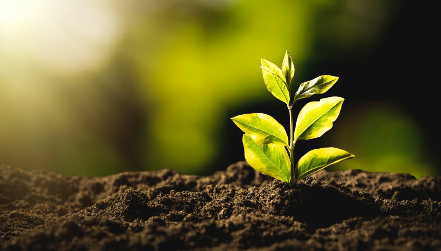 Plano de Intervenção no Gerenciamento de Áreas Contaminadas: Uma Abordagem Estratégica para Remediação Ambiental